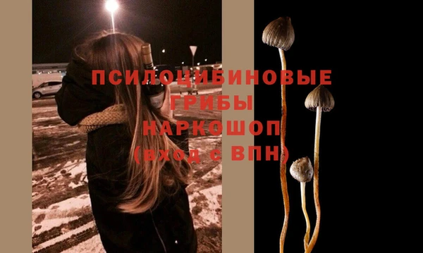 гашиш Абаза