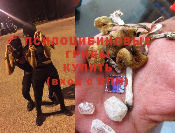 гашиш Абаза