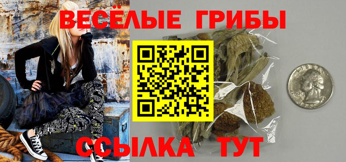 Псилоцибиновые грибы мухоморы Красноармейск
