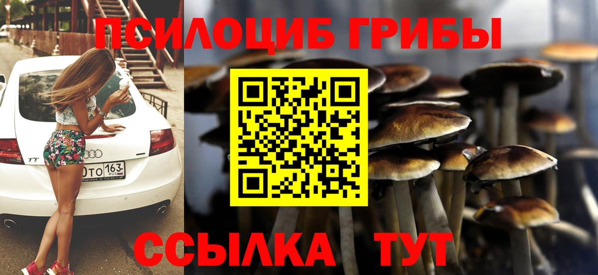 Красноармейск  Псилоцибиновые грибы MAGIC MUSHROOMS  Вход с VPN 